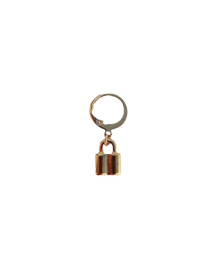 Locked up earrings